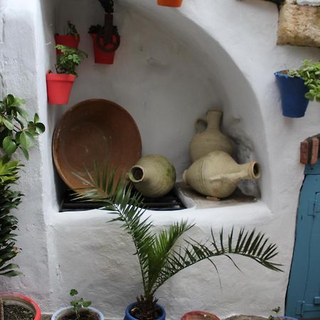 Vivienda Turistica De Alojamiento Rural Silla Vieja Vejer de la Frontera Kültér fotó