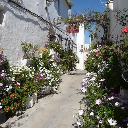 Vivienda Turistica De Alojamiento Rural Silla Vieja Vejer de la Frontera Kültér fotó