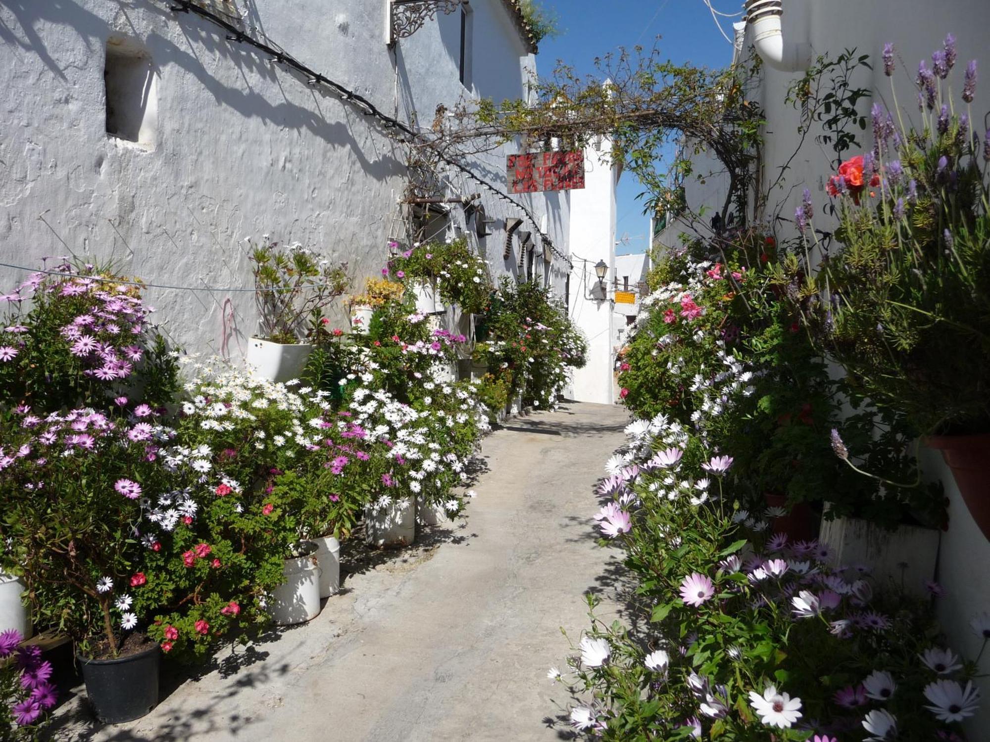 Vivienda Turistica De Alojamiento Rural Silla Vieja Vejer de la Frontera Kültér fotó