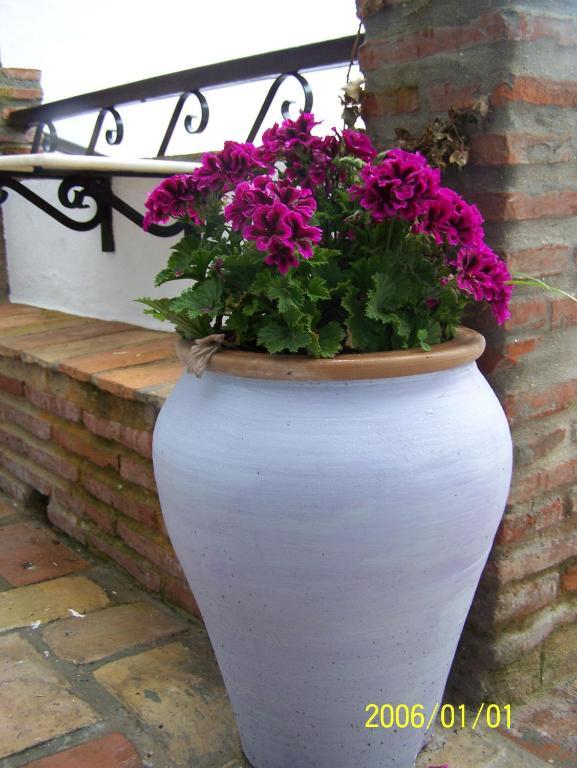 Vivienda Turistica De Alojamiento Rural Silla Vieja Vejer de la Frontera Kültér fotó